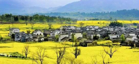 國務(wù)院總理李強：全面推進(jìn)鄉(xiāng)村振興要關(guān)注三個關(guān)鍵詞