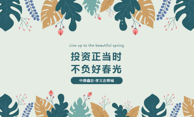 孝義唯一大產(chǎn)權(quán)的農(nóng)批商鋪，投資有保障！